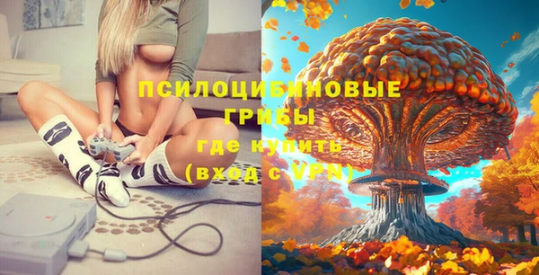 кокаин премиум Алексин