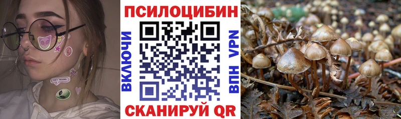 Псилоцибиновые грибы прущие грибы гидра tor Берёзовка где купить наркоту